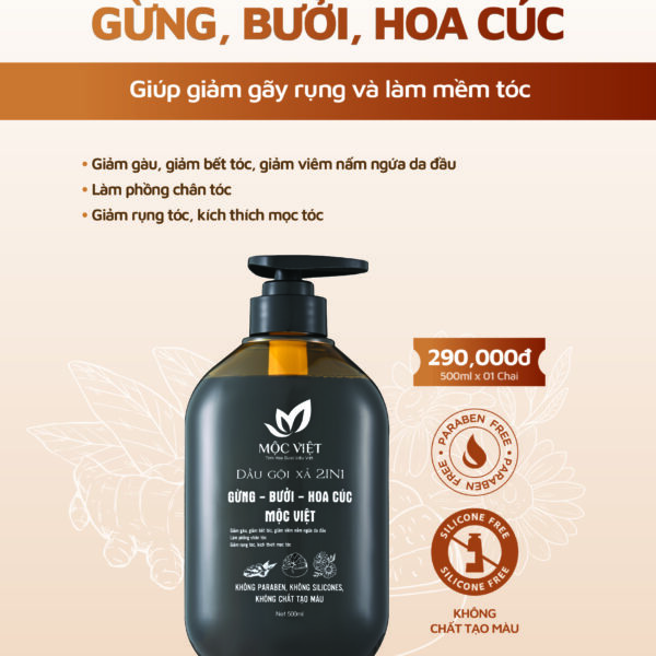 Dầu gội xả 2in1 gừng- bưởi- hoa cúc Mộc Việt